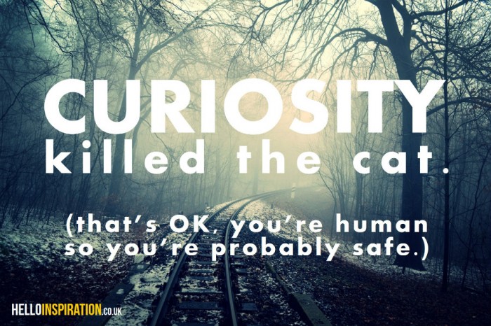 A railway track disappears into the mist with 'Curiosity kills the cat (you're a human, you should be OK)' quote
