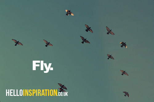 Birds silhouetted against the sky with 'Fly' quote