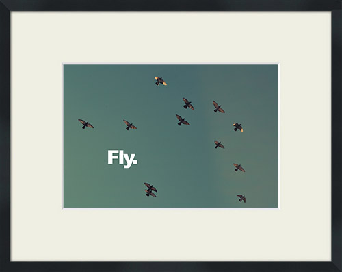 Birds silhouetted against the sky with 'Fly' quote