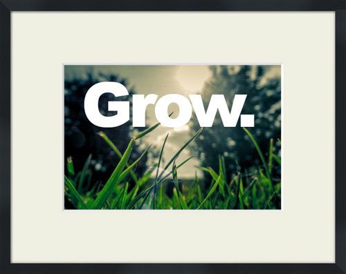 Close-up of blades of grass with 'Grow' quote